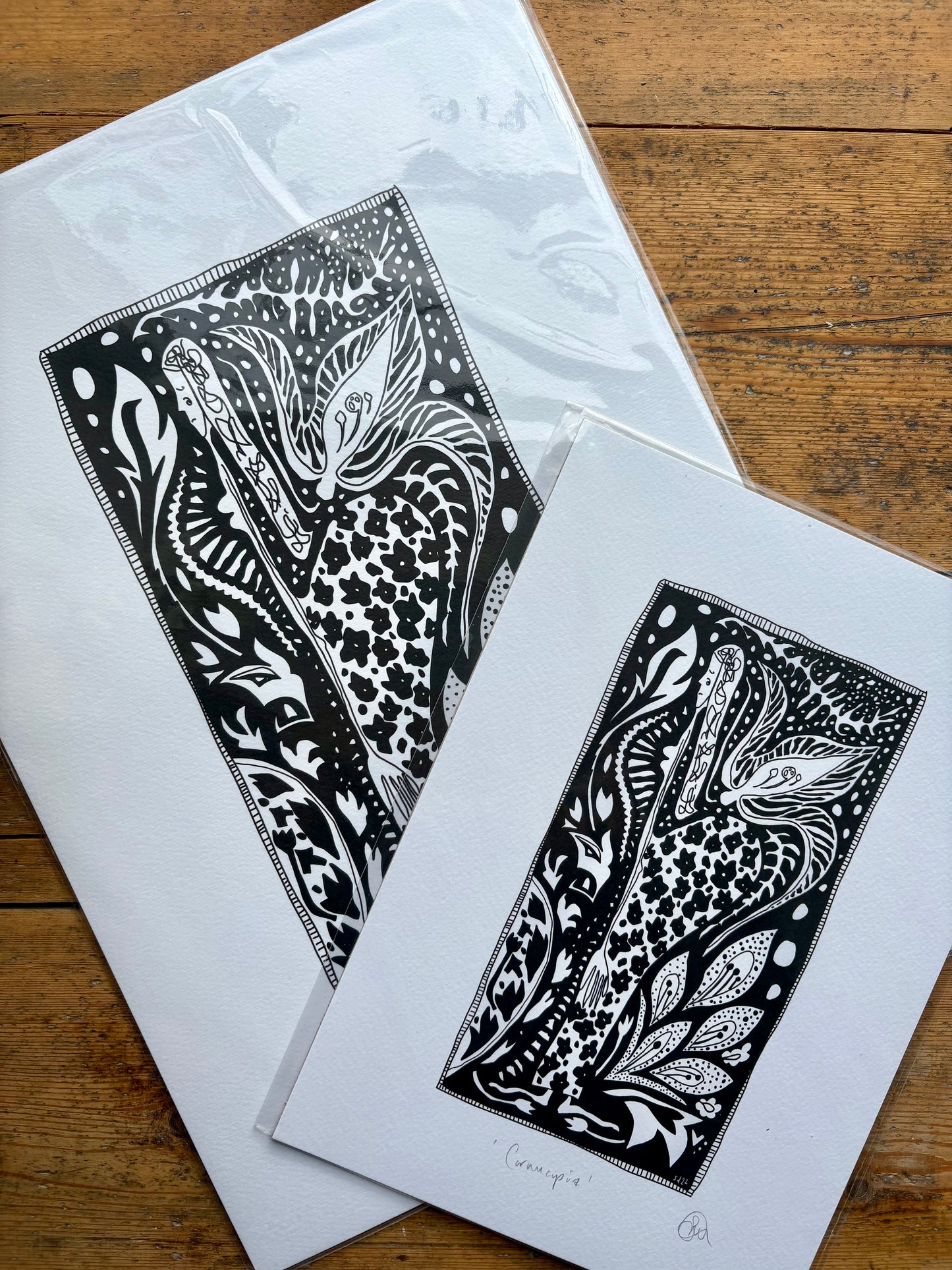 Fine Art Giclée Print - ‘Cornucopia’